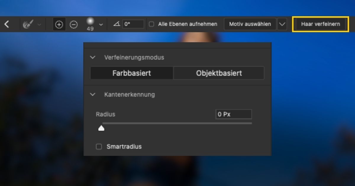Der Dialog Auswählen und maskieren mit der Option zum Verfeinern der Haare.