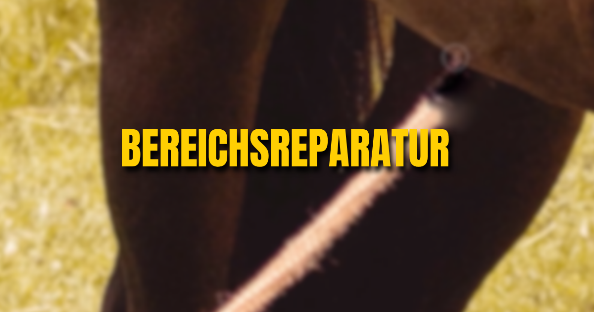 Der Bereichsreparaturpinsel im Einsatz: markieren genĂŒgt, den Rest berechnet Photoshop.